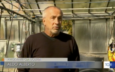 Coronavirus: il settore florovivaistico in difficoltà – il servizio del TGR Liguria