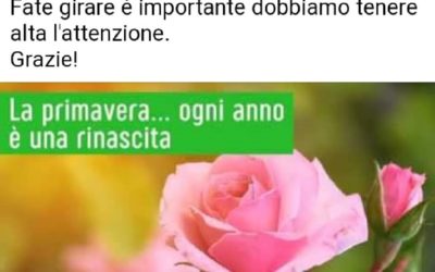 #iononmiarrendo  Coronavirus: il video dei Florovivaisti italiani